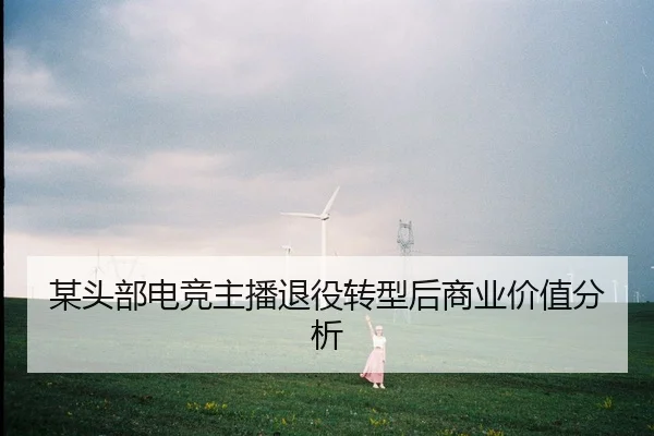 mou-tou-bu-dian-jing-zhu-bo-tui-yi-zhuan-xing-hou-shang-ye-jia-zhi-fen-xi-2-904.jpg